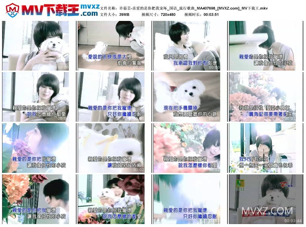 许茹芸-亲爱的是你把我宠坏_国语_流行歌曲_MA407698